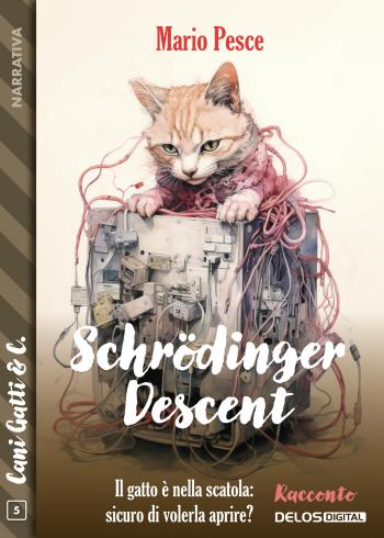 Schrödinger Descent (copertina)