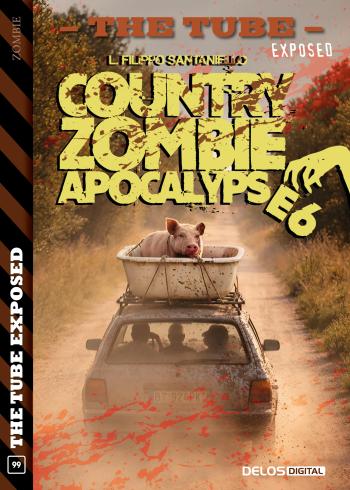 Country Zombie Apocalypse 6 (copertina)