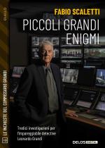 Le inchieste del commissario Grandi